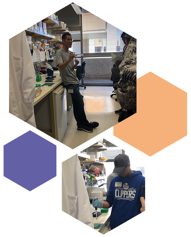 A image of a field trip.