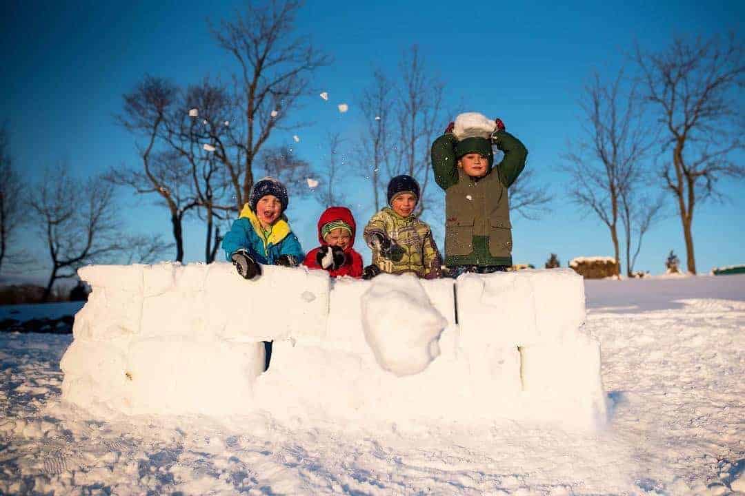 New Year Winter STEAM at the HIVE Day Camp
